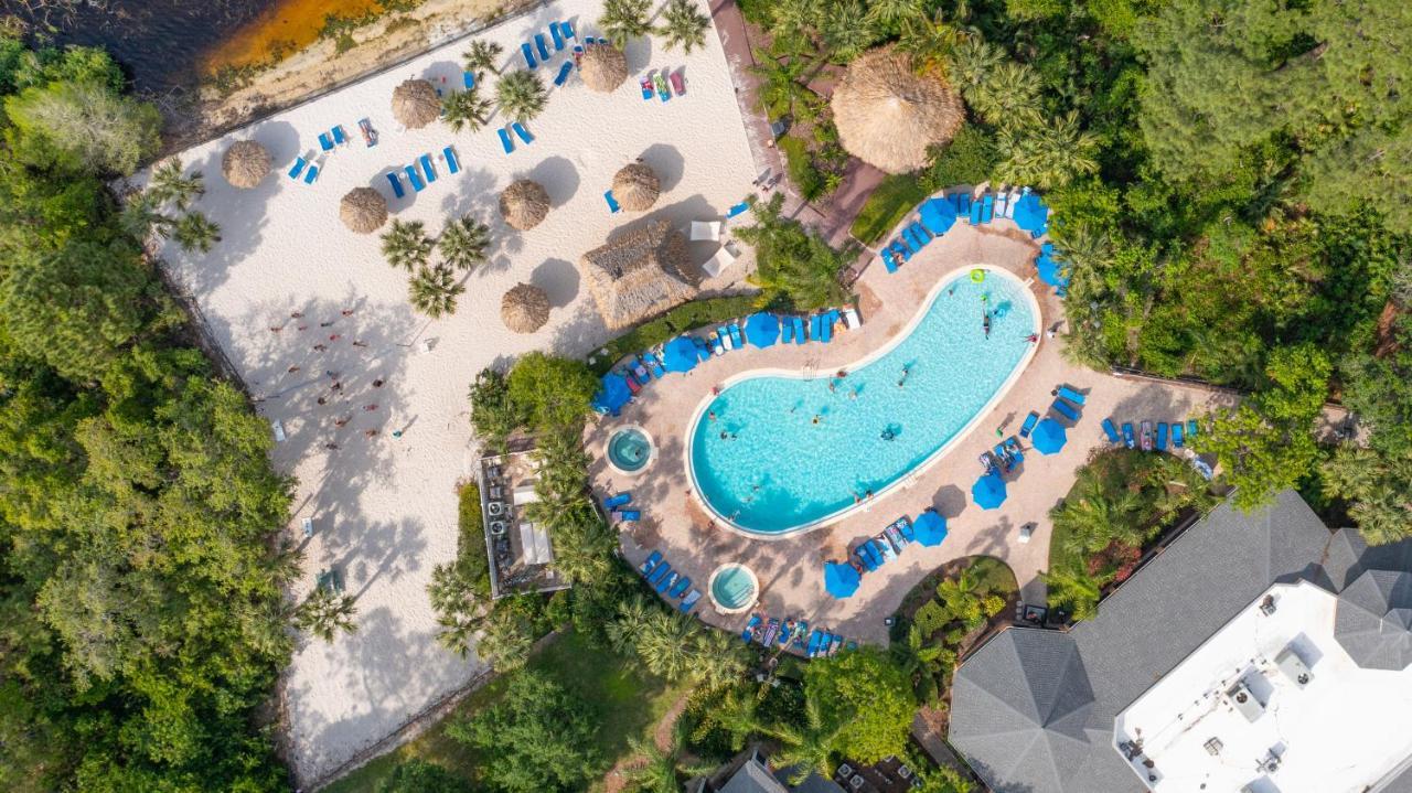 Cristina'S Tropical Villa/ Just Minutes From Disney! キシミー エクステリア 写真